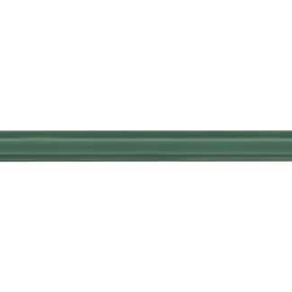 Product afbeelding voor Strip Rivièra Listelo Rimini Green 1,7x20cm Glanzend