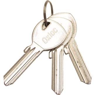 Product afbeelding voor Oxloc Sleutel Voor Profielcilinder 50x Blind