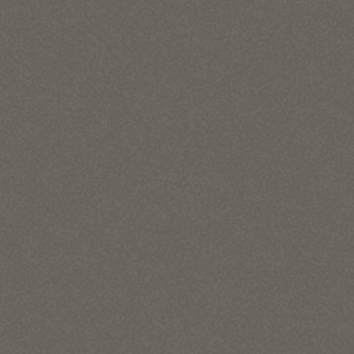 Product afbeelding voor Villeroy & Boch Vloertegel Pro Architectura 3.0 Solid Grey 20x20cm 8,2mm Mat R12 2253C4900010