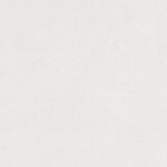 Product afbeelding voor Rako Vloertegel Extra White 20x20cm 9mm Mat Gerectificeerd R10B Reliëf