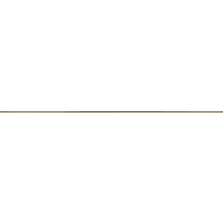 Product afbeelding voor Strip Vetro Omega Oro 0,5x100cm Glanzend Gerectificeerd