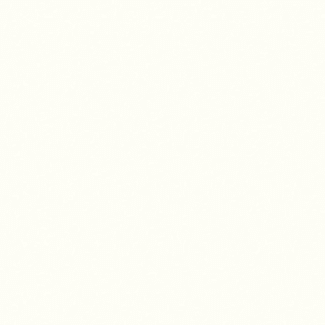 Product afbeelding voor Trespa® Meteon® 6mm 305x153cm Dubbelzijdig Satin Pure White A05.0.0