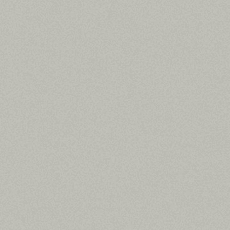 Product afbeelding voor Villeroy & Boch Vloertegel Pro Architectura 3.0 Secret Grey 30x30cm 8,2mm Mat R10 2213C4600010