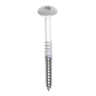 Product afbeelding voor Fisinox Kleurkopschroef Trespa® A03.4.0 4.8x38/25mm TX-20 Zilvergrijs 100st