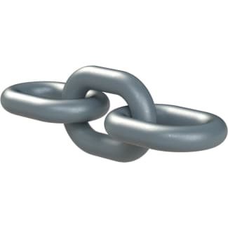 Product afbeelding voor Rema Hijsketting 2-Sprong 6mm 2m 1960kg Met Inkortklauw En Veiligheidshaak