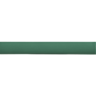 Product afbeelding voor Strip Rivièra Cubrecanto Rimini Green 2,5x20cm Glanzend
