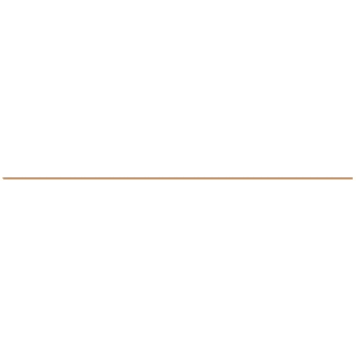 Product afbeelding voor Strip Fosil Delta Cobre 0,5x100cm Mat/Glanzend Gerectificeerd