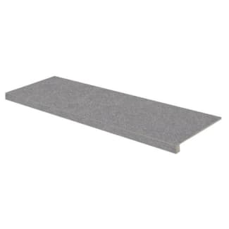 Product afbeelding voor Rako Traptrede Speciaal Block Dark Grey 30x120cm 9mm Mat Gerectificeerd R10B