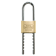 Product afbeelding voor Burg-Wächter Hangslot Magno 400 E HB 50 Flex SB