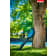 Product afbeelding voor Makita Accu Bladblazer DUB184Z 18V