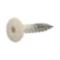 Product afbeelding voor ProOne HPL Schroef 4.8x25mm RVS A4 RAL 9001 Crème-Wit 100st